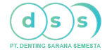 DSSE